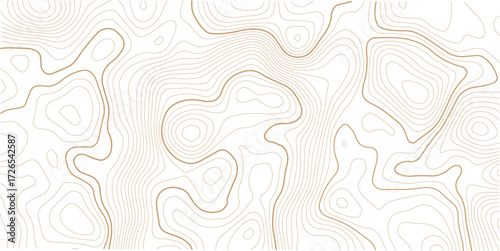 White Black Topographic Contour Map Vector Graphic Abstract Background. Topography Wavy Lines Pattern Modern Wide Abstraction. Outline Terrain Relief Cartography Geographical Map Illustration