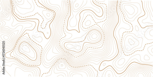 White Black Topographic Contour Map Vector Graphic Abstract Background. Topography Wavy Lines Pattern Modern Wide Abstraction. Outline Terrain Relief Cartography Geographical Map Illustration