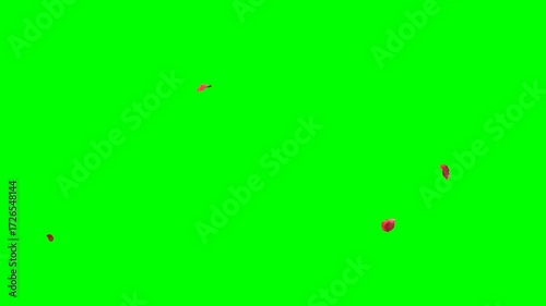 4K Falling Rose Petals – Light Flurry 