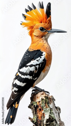 A vibrant bird perched on a branch (1)