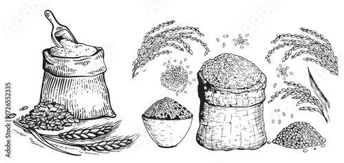 Vintage Hand-Drawn Rice and Grain Illustrations – Rustic Farm Produce, Sacks, Bowls, Harvest Elements, Black and White Engraving Set