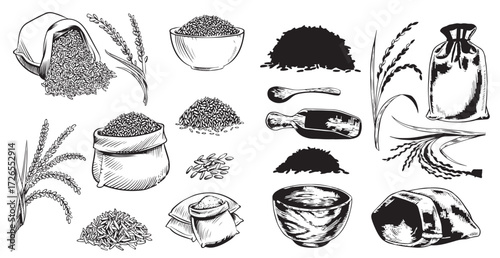 Vintage Hand-Drawn Rice and Grain Illustrations – Rustic Farm Produce, Sacks, Bowls, Harvest Elements, Black and White Engraving Set
