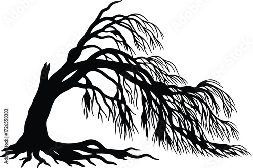 Vector Weeping willow tree black silhouette illustration Illustrator