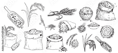 Vintage Hand-Drawn Rice and Grain Illustrations – Rustic Farm Produce, Sacks, Bowls, Harvest Elements, Black and White Engraving Set