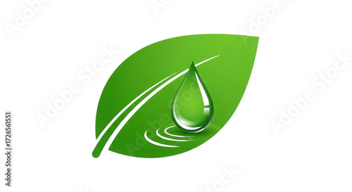 Green leaf with water drop symbolizing eco-friendly solutions isolated PNG with Transparent Background