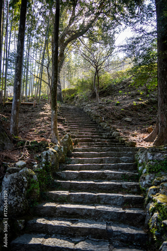 Obraz premium 石の階段を登る