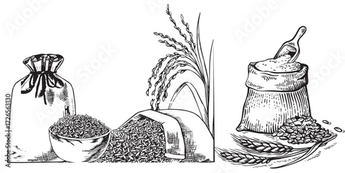 Vintage Hand-Drawn Rice and Grain Illustrations – Rustic Farm Produce, Sacks, Bowls, Harvest Elements, Black and White Engraving Set