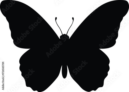butterfly vector illustration