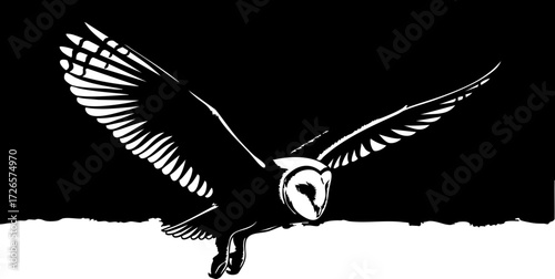 Tableau sur toile Majestic Barn Owl Soars Through Night Sky with Wings Spread Wide Capturing Myste