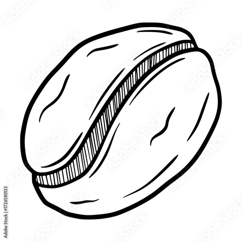 Hand Drawn Single Coffee Bean Line Art Sketch