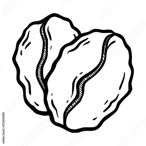 Hand Drawn Pair of Coffee Beans Line Art Sketch