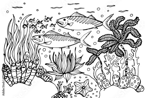 Hand-Drawn Underwater Ocean Scene – Coral, Fish, and Seaweed Line Art for Kids