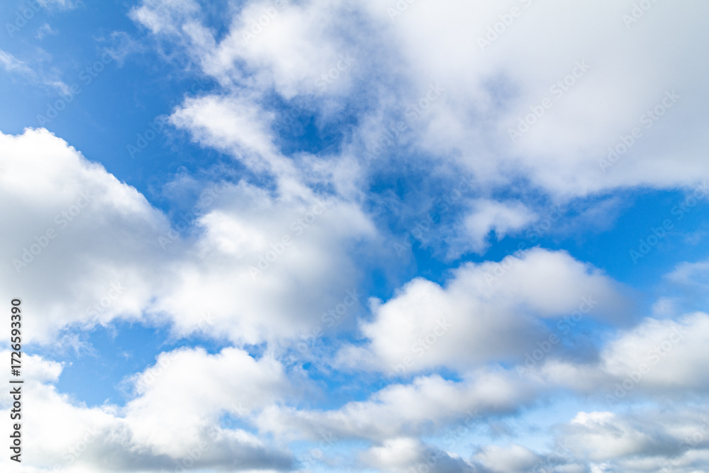 Fototapeta premium Clouds on a Clear Blue Sky