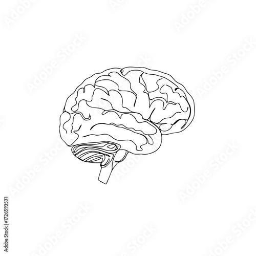 Brain continuous line drawing in minimalist style on white background 