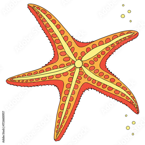 Single Cartoon Starfish With Bubbles On A White Background sea star marine life