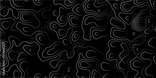 Stylized topographic map lines, white organic curves on black background, abstract representation of terrain and scientific concepts
