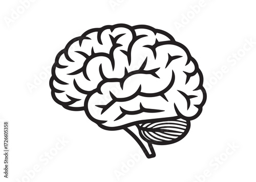 Brain line art vector