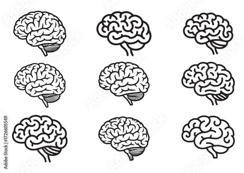 Brain line art vector