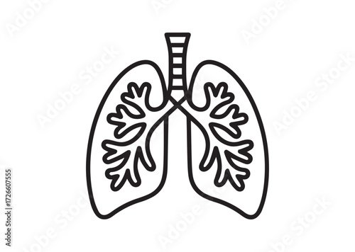 Lungs line art vector
