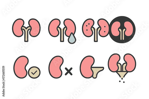 Kidney health icons set: diseases, treatments, and care illustrations