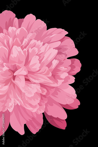 Close-up of a large, beautiful pink flower with intricate layers of petals.