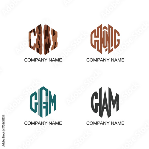 Hexagon Logo Designs with Lettering and Company Name Placement.