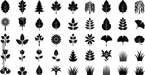 Diverse collection of black silhouettes of plants leaves flowers and trees for nature design elements