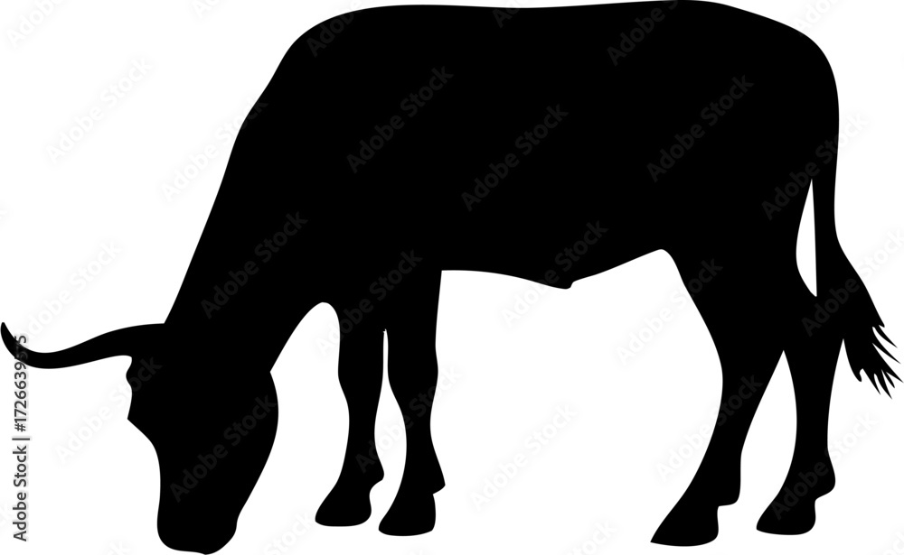 Obraz premium Cow Silhouette Vector | Farm Animal, Cattle, Bull, Dairy Clipart Design