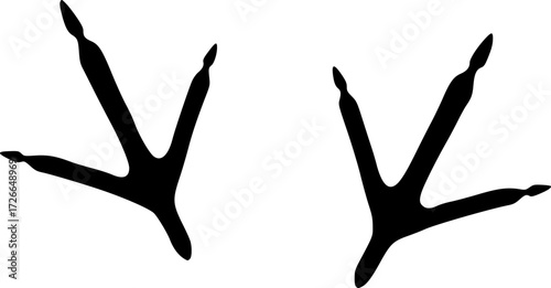 two black bird footprints on a white background