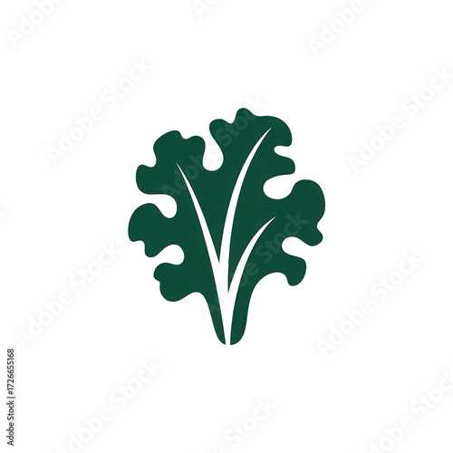 Dark green kale leaf on transparent background