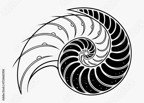 Illustration of a nautilus shell with intricate spiral pattern in black and white design style created with generated ai