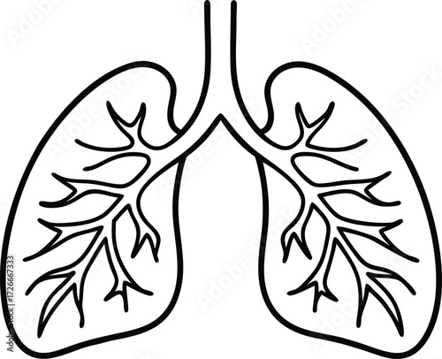 Black and white line drawing of human lungs respiratory system
