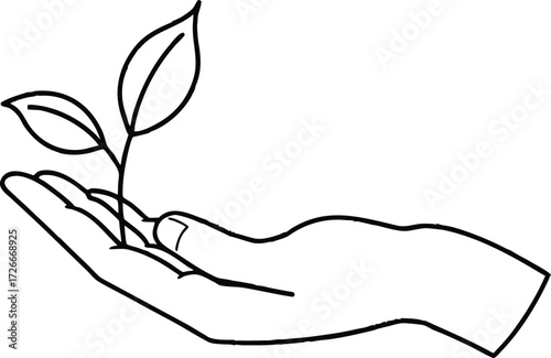 Hand holding a delicate sprout with two leaves plant