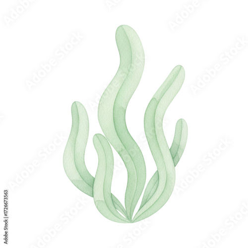 Seaweed (Light Green)