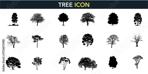 Tropical palm tree silhouette line drawing set, side view outline vector elements for architecture and landscape design. Vector illustration stroke fill on white background