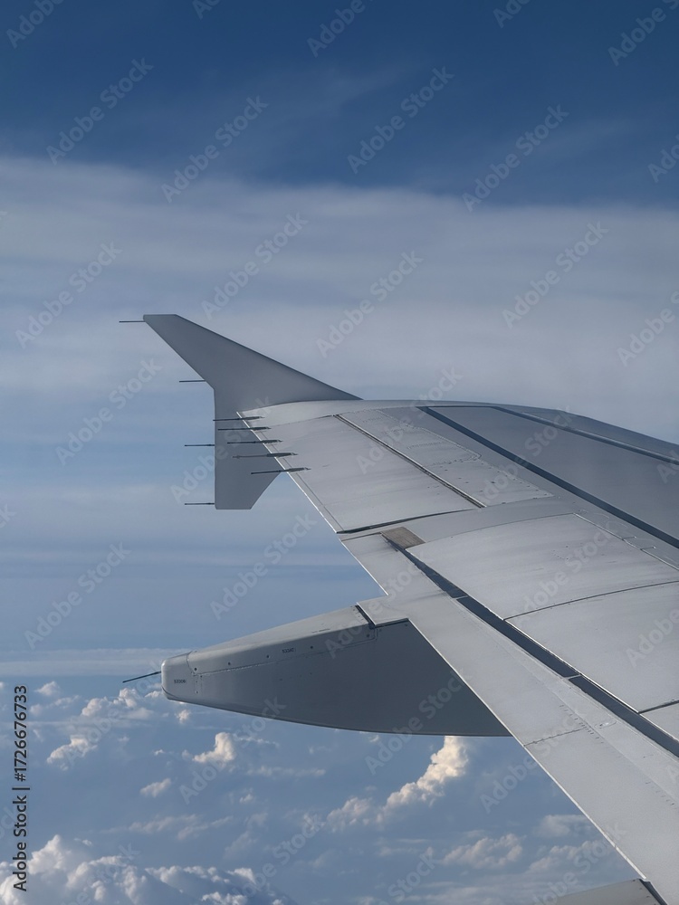 Fototapeta premium view from airplane window