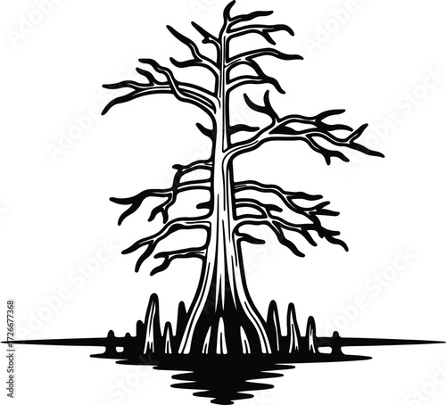 Vector Bald cypress tree silhouette isolated design Illustrator