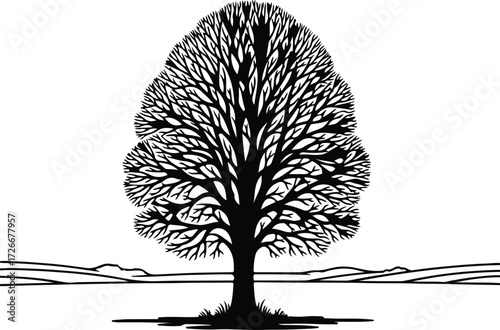 Vector Deciduous tree in landscape minimalistic black silhouette Illustrator