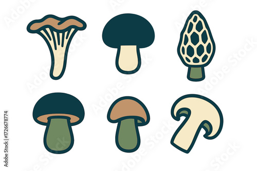 Diverse collection of edible and wild mushrooms such as chanterelle, morel, and common button mushrooms, ideal for nature and food-related themes