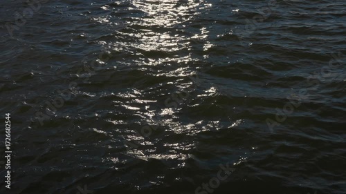 Wallpaper Mural Close-up view of rippling IJ water with golden sunlight shimmering on the surface during late afternoon. Location: Amsterdam, Noord-Holland, Netherlands. Torontodigital.ca