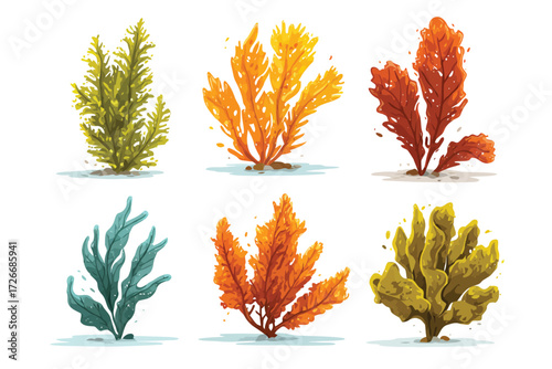 Assorted Seaweeds Drying Under the Sun garnish isolated