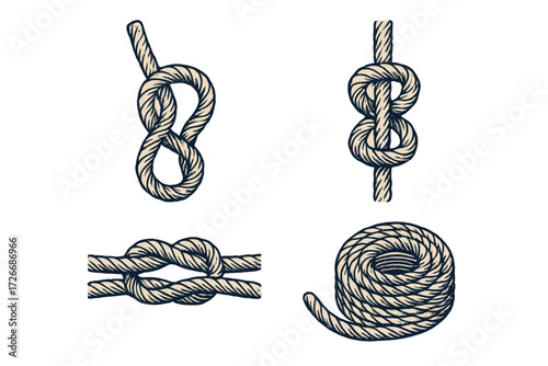 Collection of various traditional nautical rope knots and coiled cordage elements for marine and sailing themes