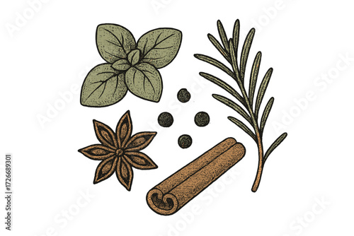 Assortment of aromatic cooking spices and fresh herbs like cinnamon, star anise, basil, rosemary, and peppercorns