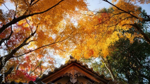 Beautiful autumn leaves cover a traditional roof in a serene garden setting