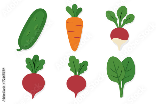 Fresh organic garden vegetables collection including carrots, radishes, beets, cucumber, and spinach leaves
