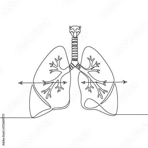Outline of human lungs with branching bronchi and arrows indicating airflow  