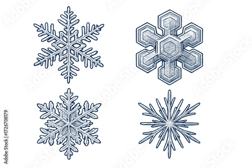 Set of diverse winter snowflakes featuring intricate ice crystal patterns and frosty textures for seasonal design
