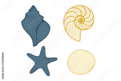 Stylized marine life featuring various sea shells and a starfish with intricate wireframe patterns