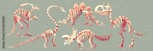 Dinosaur fossil skeleton set with bones for museum or educational displays. Prehistoric creatures of stegosaurus and brachiosaurus, triceratops and tyrannosaurus rex. Paleontology illustrations.