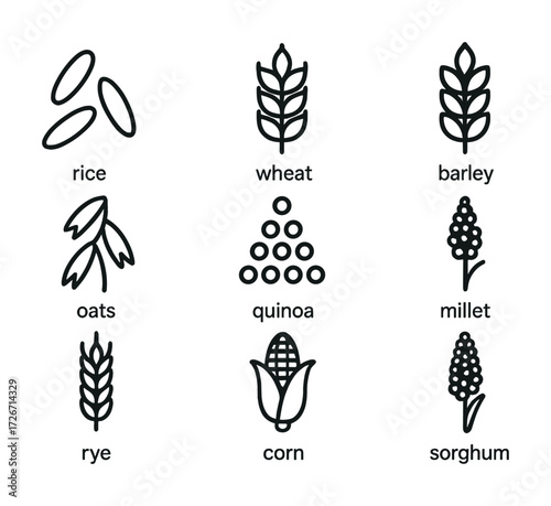 Illustrated icons of various grains including rice, wheat, barley, and corn